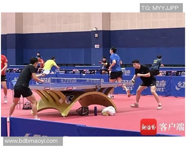 深圳羽毛球队阵地战革新探索助力竞技水平提升与团队协作发展